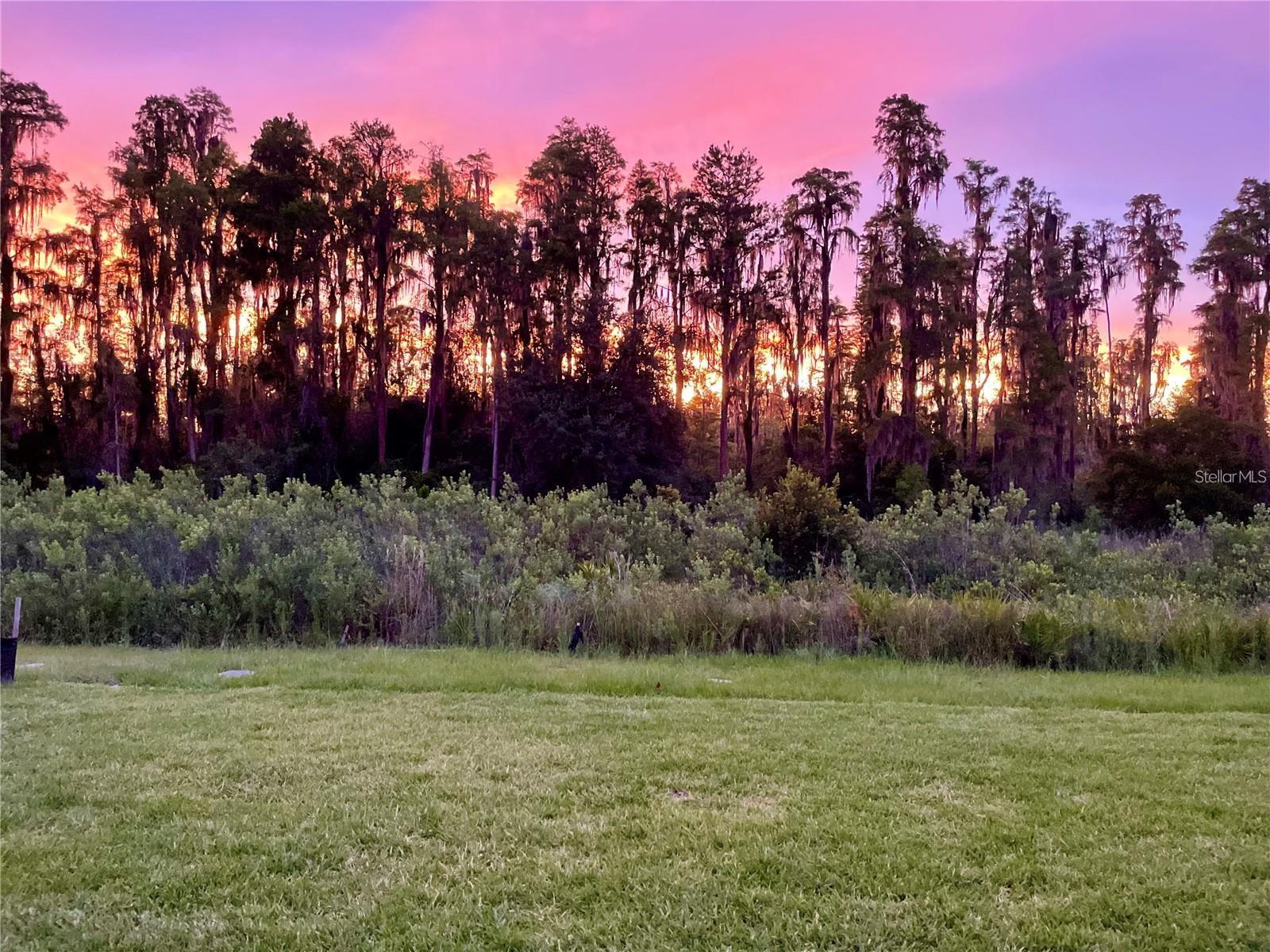 3281 GREAT BANYAN WAY, WESLEY CHAPEL, FL, 33543