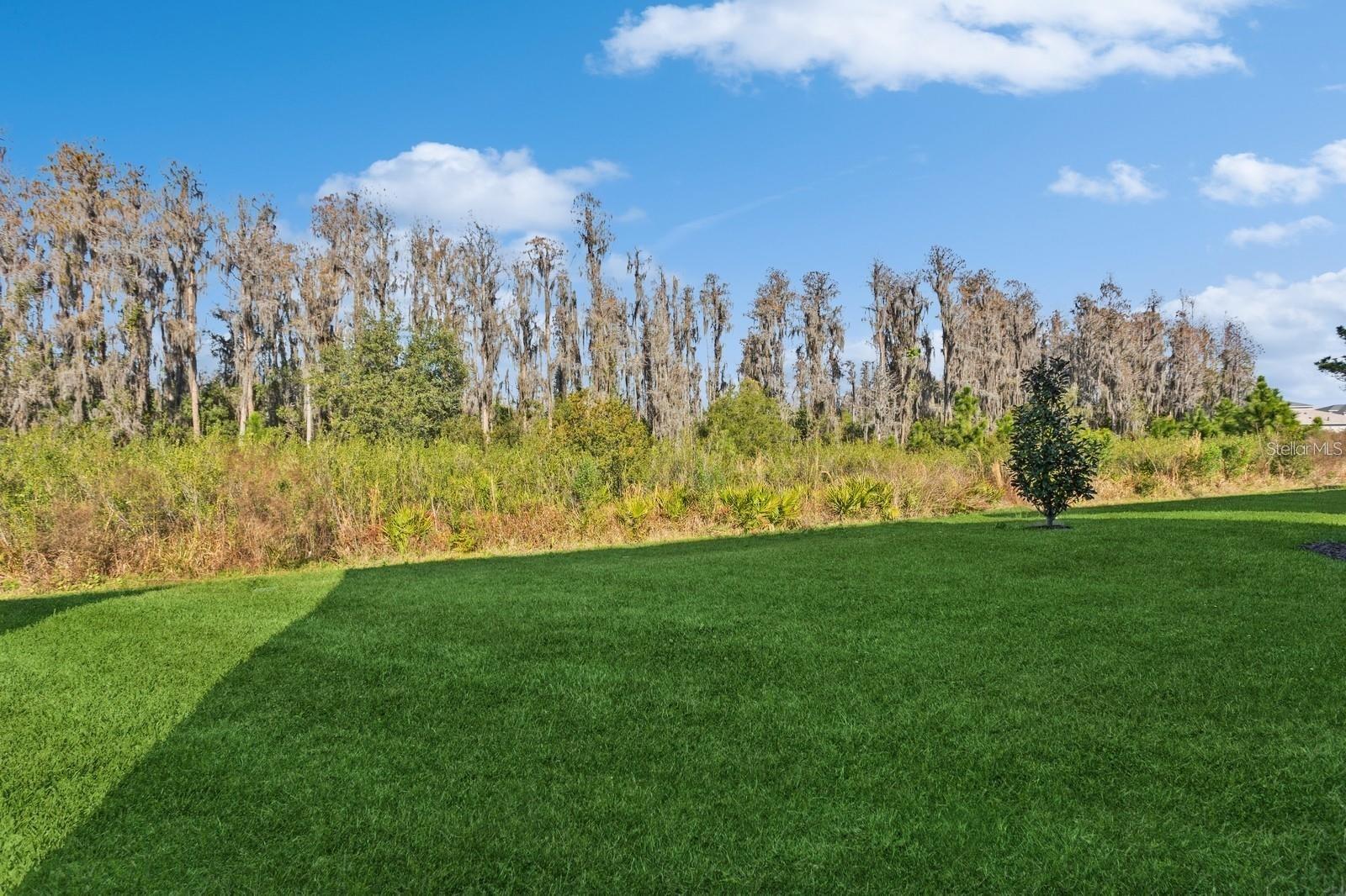 3281 GREAT BANYAN WAY, WESLEY CHAPEL, FL, 33543