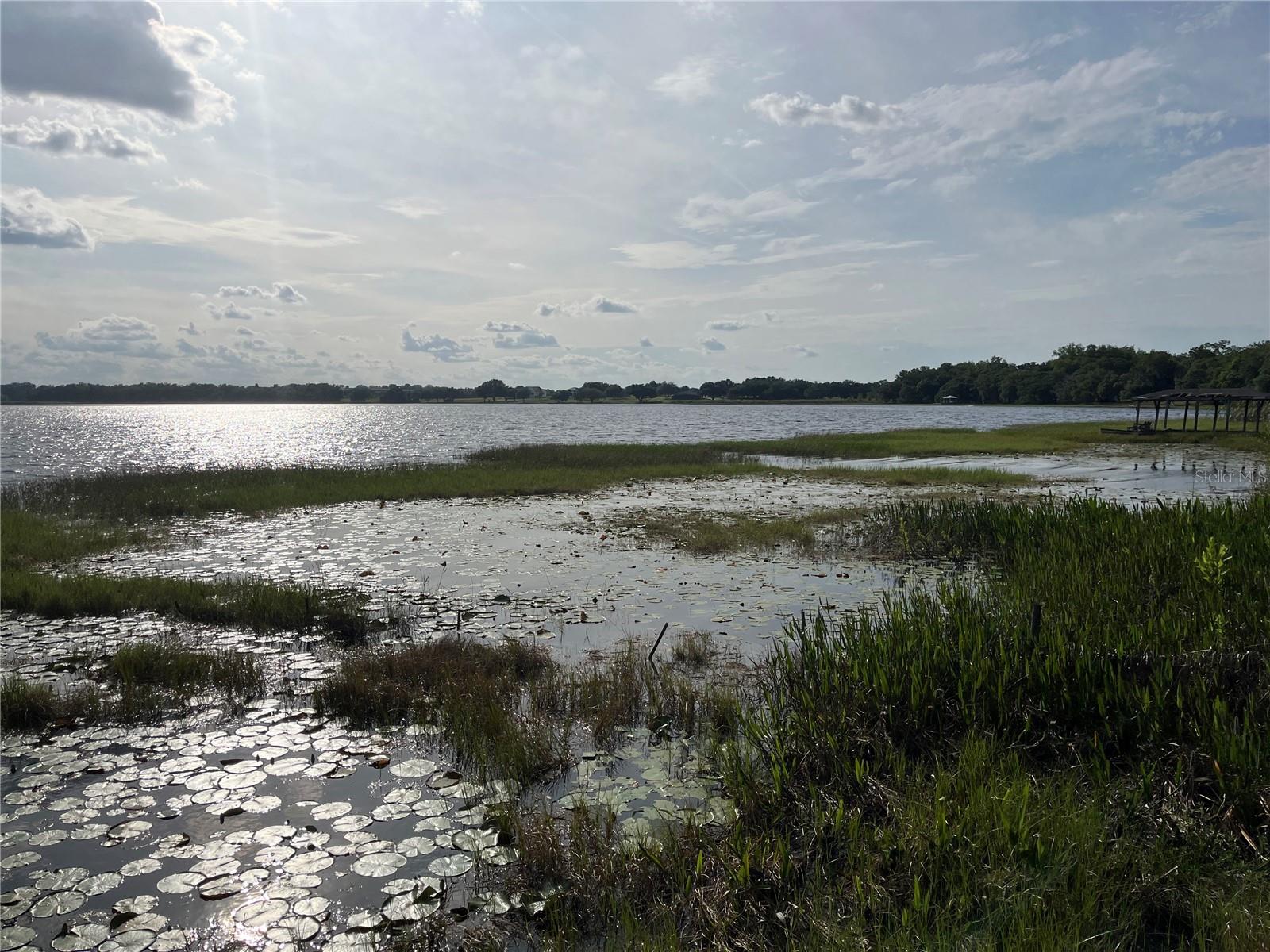 1794 PERCH HAMMOCK LOOP, GROVELAND, FL, 34736