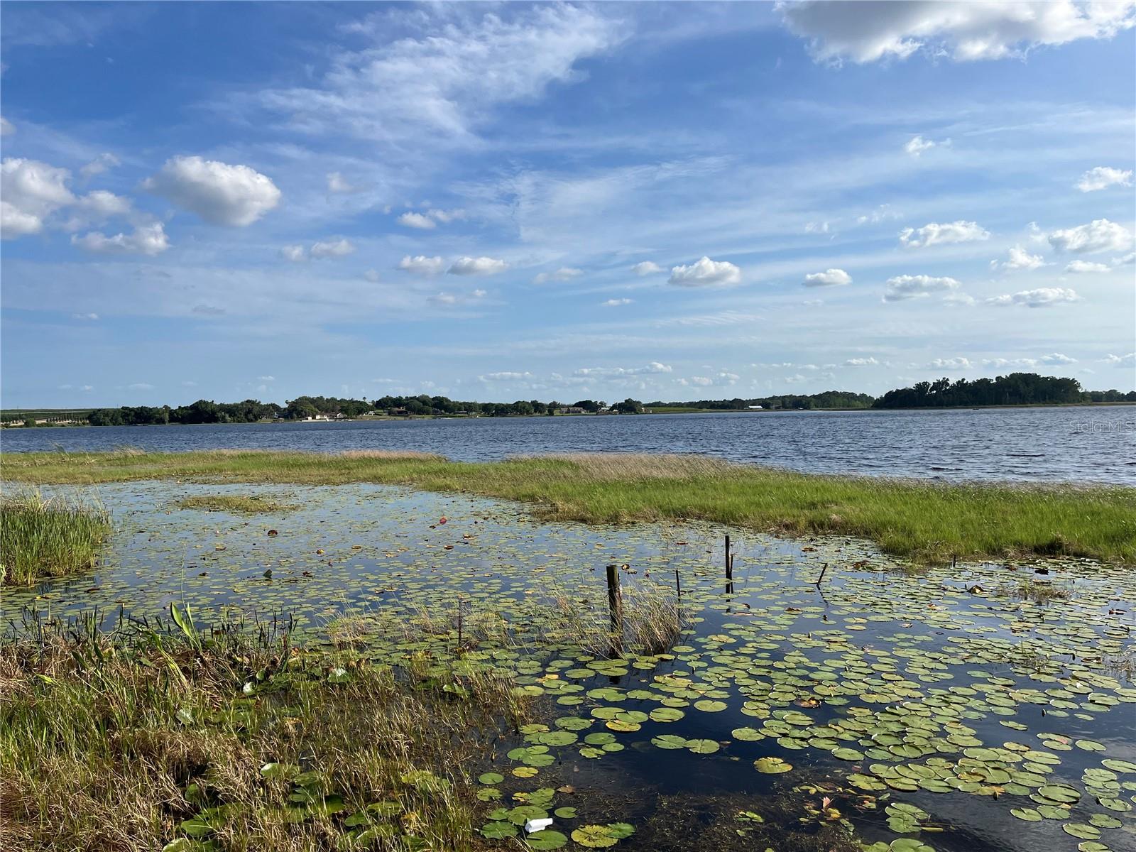 1794 PERCH HAMMOCK LOOP, GROVELAND, FL, 34736
