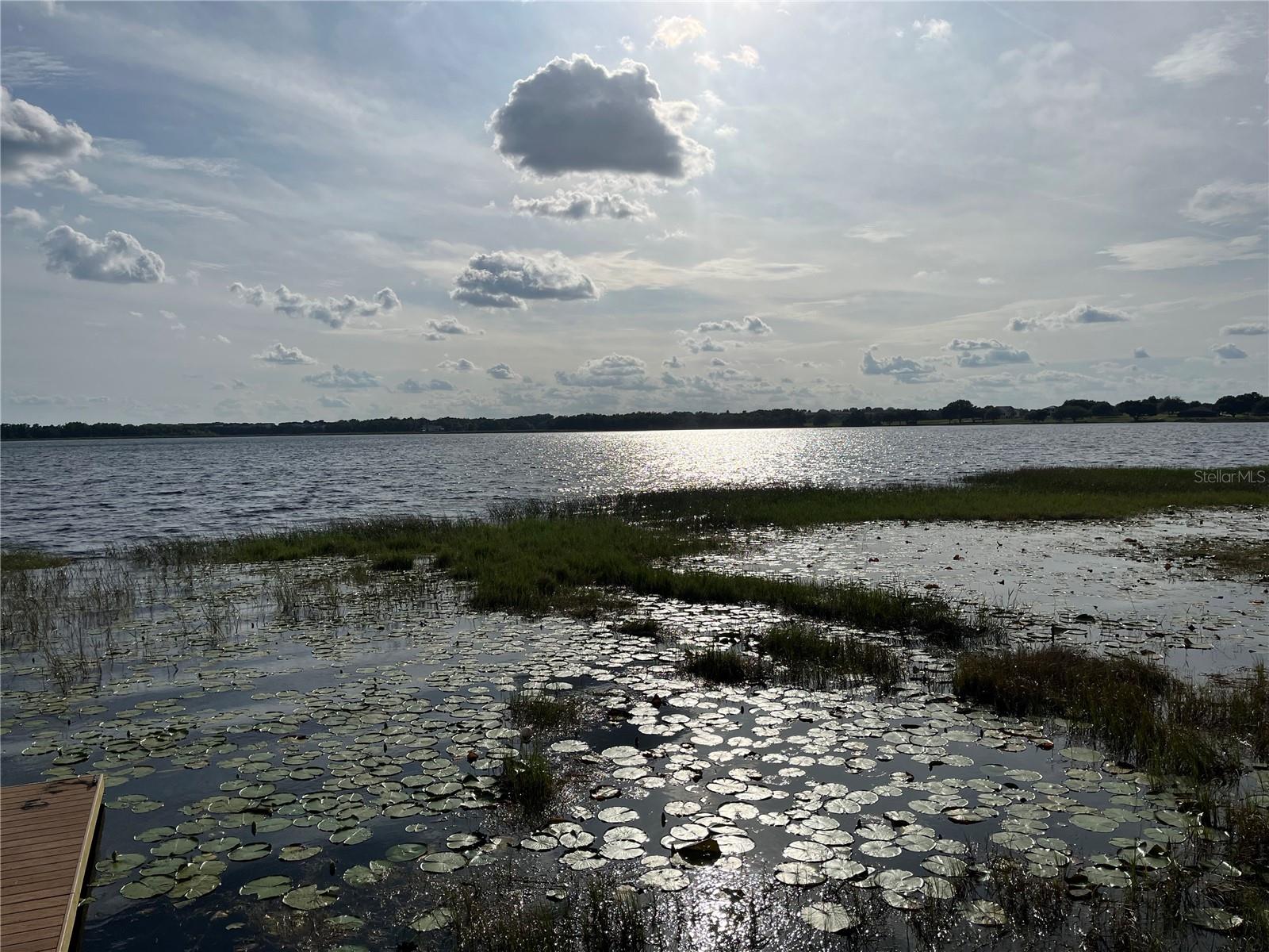 1794 PERCH HAMMOCK LOOP, GROVELAND, FL, 34736