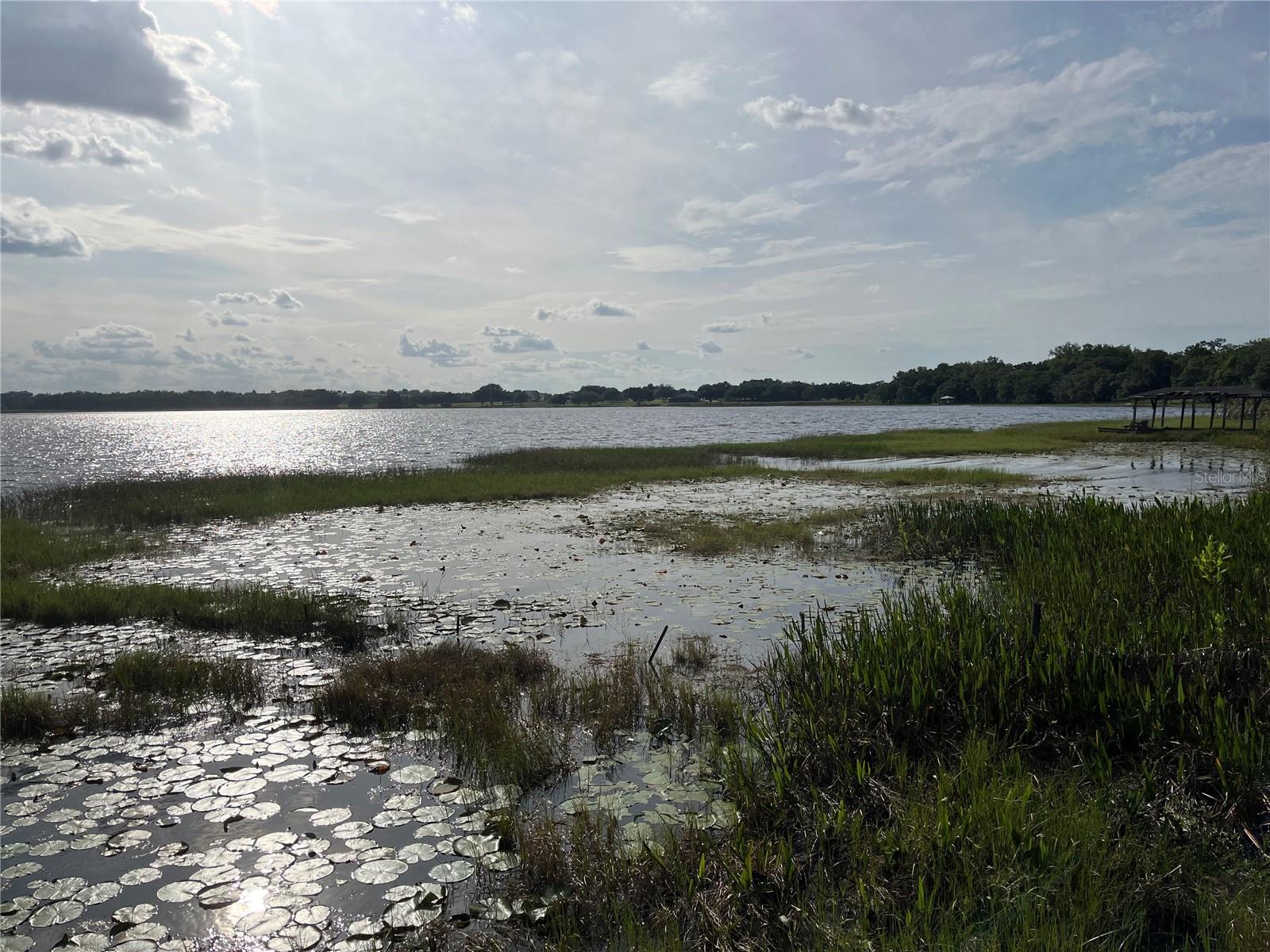 1794 PERCH HAMMOCK LOOP, GROVELAND, FL, 34736