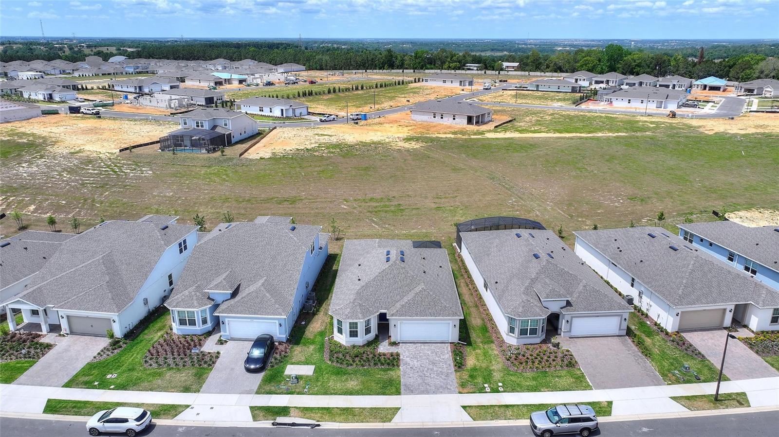 1333 ZESTY CITRUS LN, MINNEOLA, FL, 34715