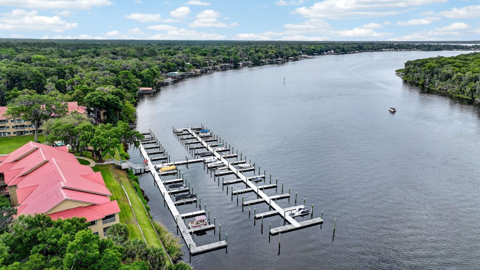 99 BROAD RIVER PL #2105, WELAKA, FL, 32193