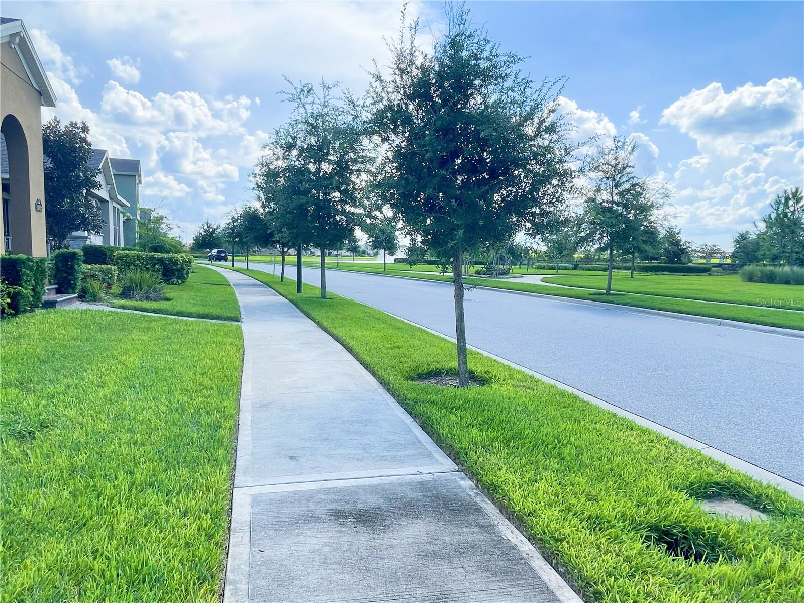 16229 PEBBLE BLUFF LOOP, WINTER GARDEN, FL, 34787