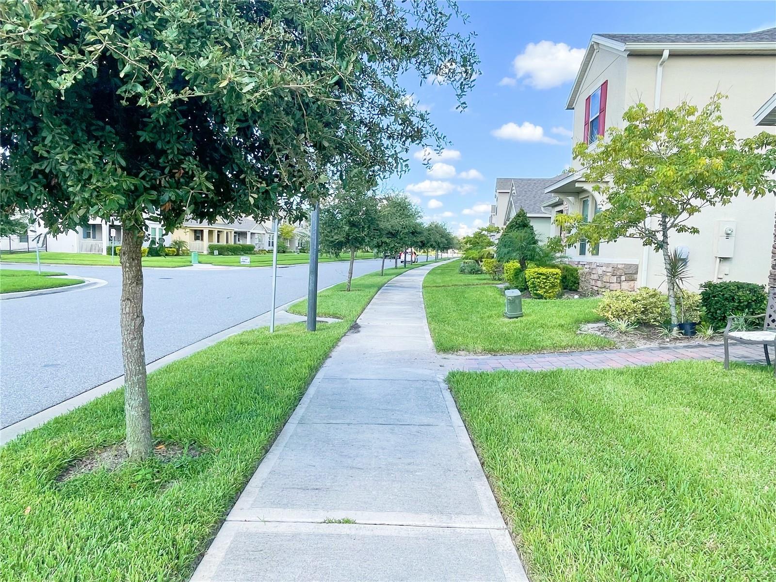 16229 PEBBLE BLUFF LOOP, WINTER GARDEN, FL, 34787