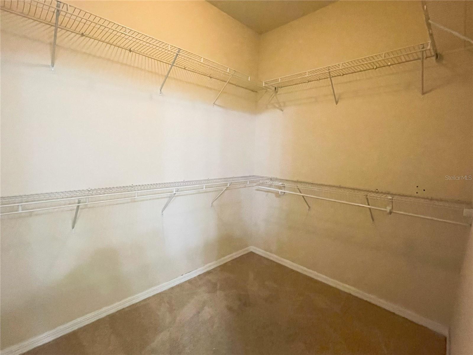16229 PEBBLE BLUFF LOOP, WINTER GARDEN, FL, 34787