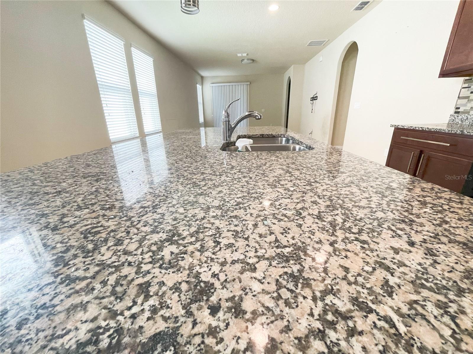 16229 PEBBLE BLUFF LOOP, WINTER GARDEN, FL, 34787