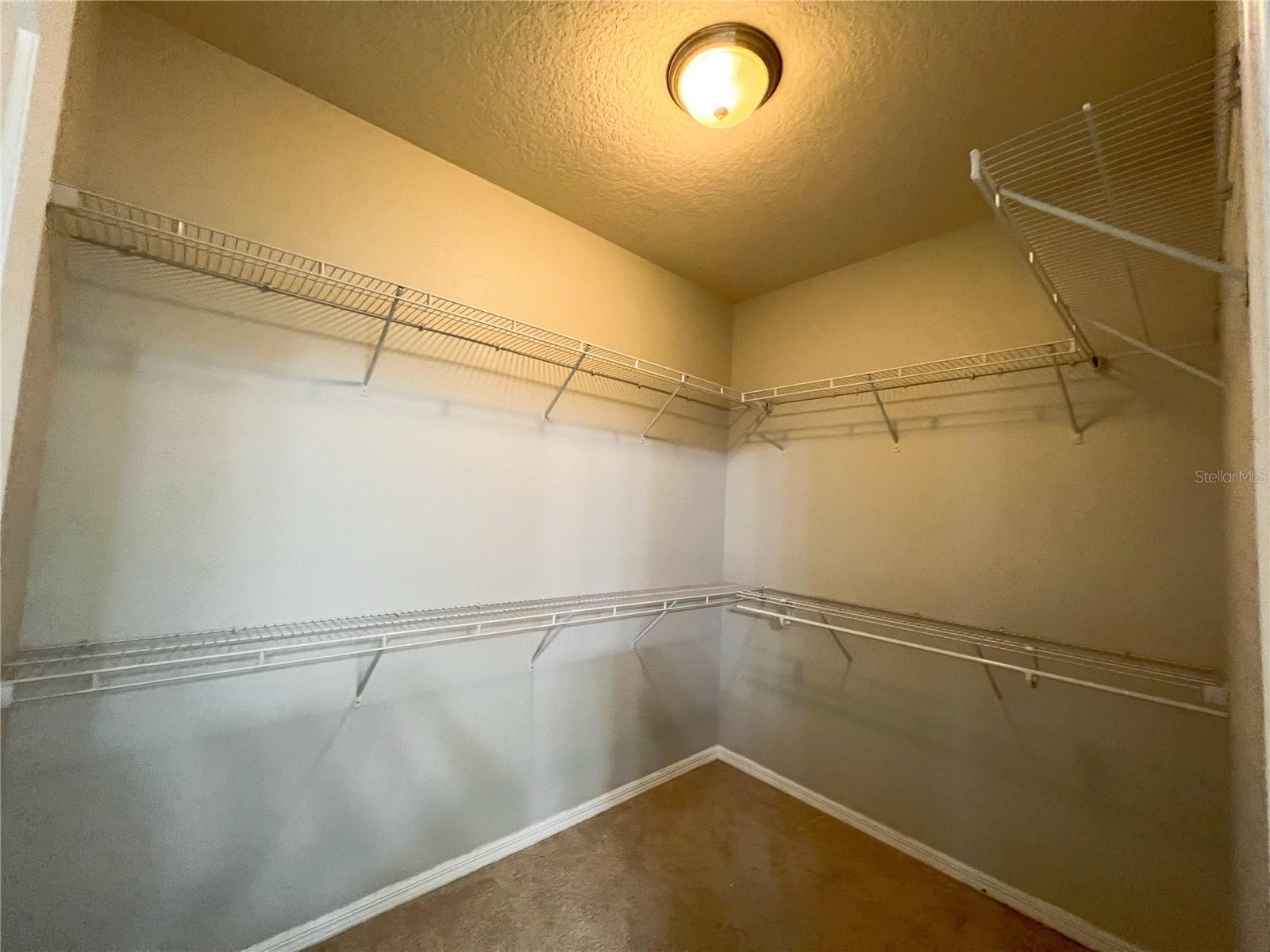 16229 PEBBLE BLUFF LOOP, WINTER GARDEN, FL, 34787
