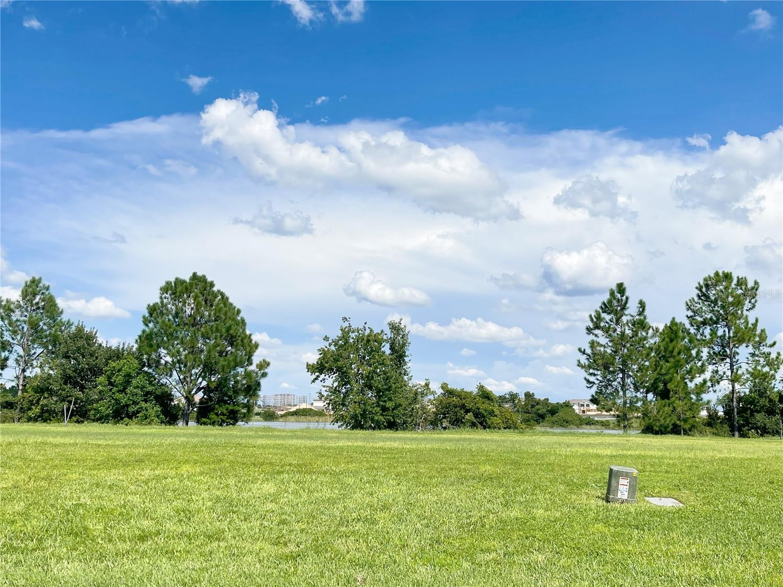 16229 PEBBLE BLUFF LOOP, WINTER GARDEN, FL, 34787