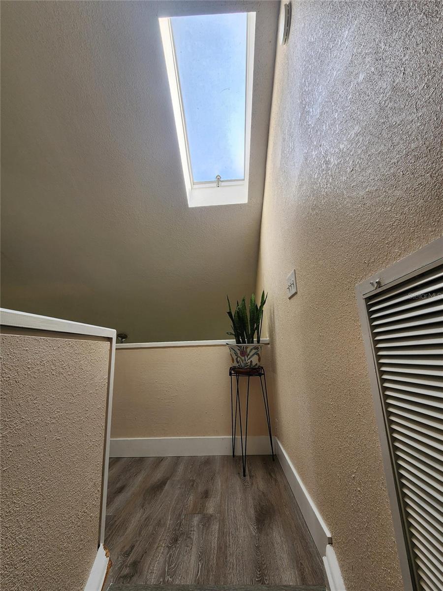 3402 ELLENWOOD LN, TAMPA, FL, 33618