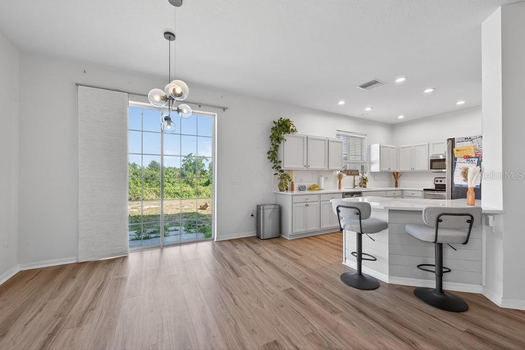 11118 SILVER FERN WAY, RIVERVIEW, FL, 33569