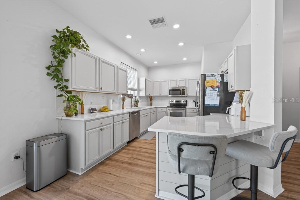11118 SILVER FERN WAY, RIVERVIEW, FL, 33569