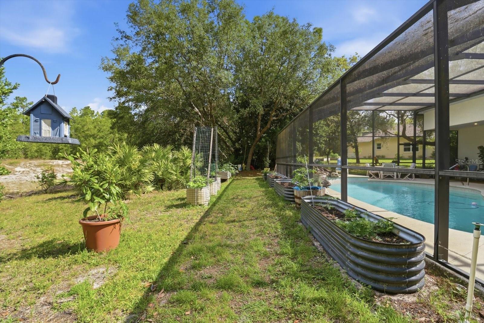 3 PORTULACA CT N, HOMOSASSA, FL, 34446