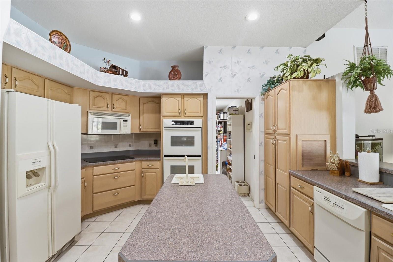 3 PORTULACA CT N, HOMOSASSA, FL, 34446