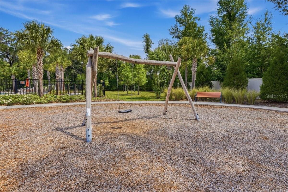34179 CINDER WAY, WESLEY CHAPEL, FL, 33545