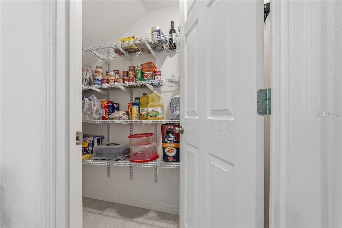 34179 CINDER WAY, WESLEY CHAPEL, FL, 33545