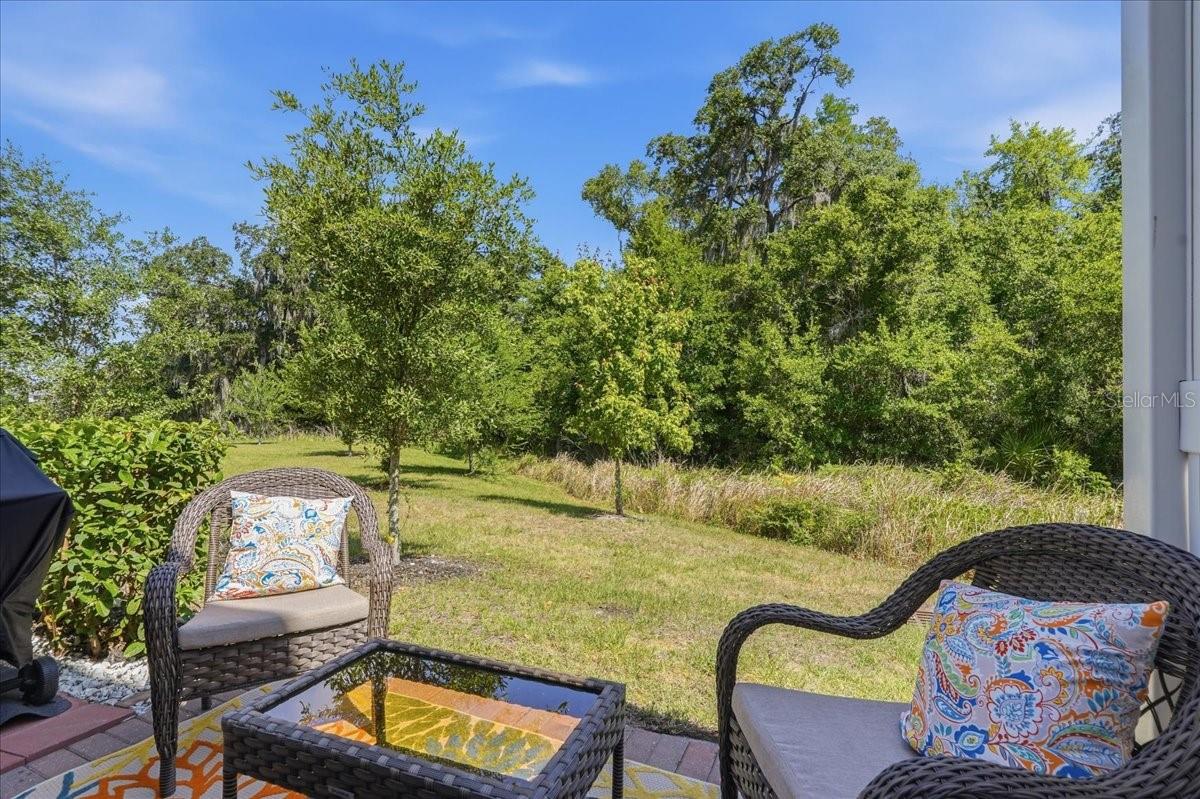 34179 CINDER WAY, WESLEY CHAPEL, FL, 33545