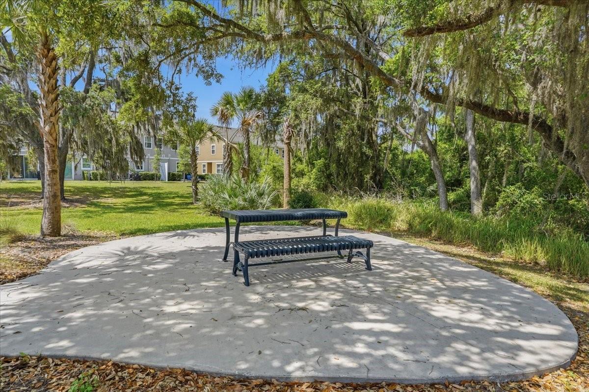 34179 CINDER WAY, WESLEY CHAPEL, FL, 33545