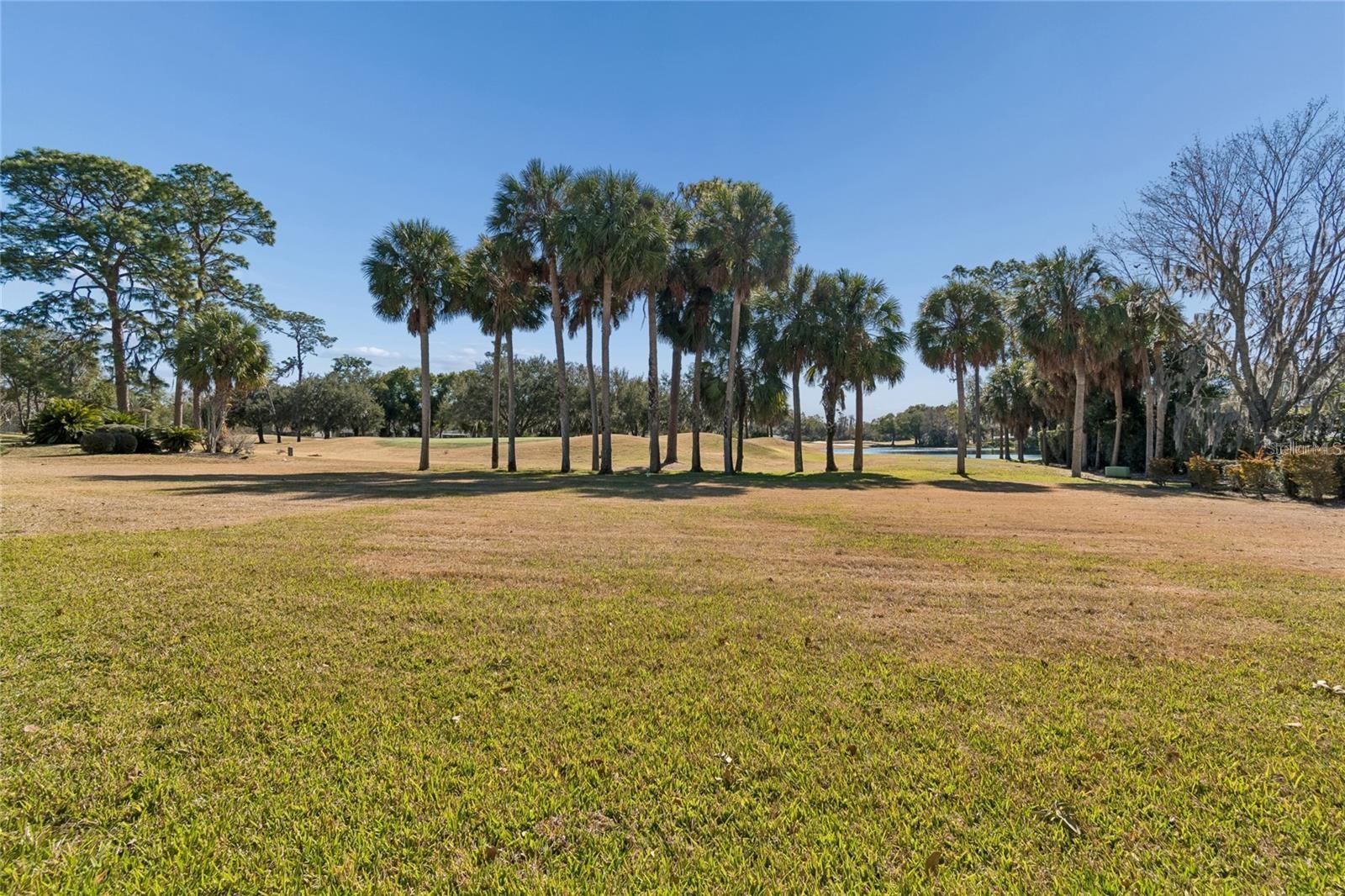 29244 WHIPPORWILL LN, WESLEY CHAPEL, FL, 33543