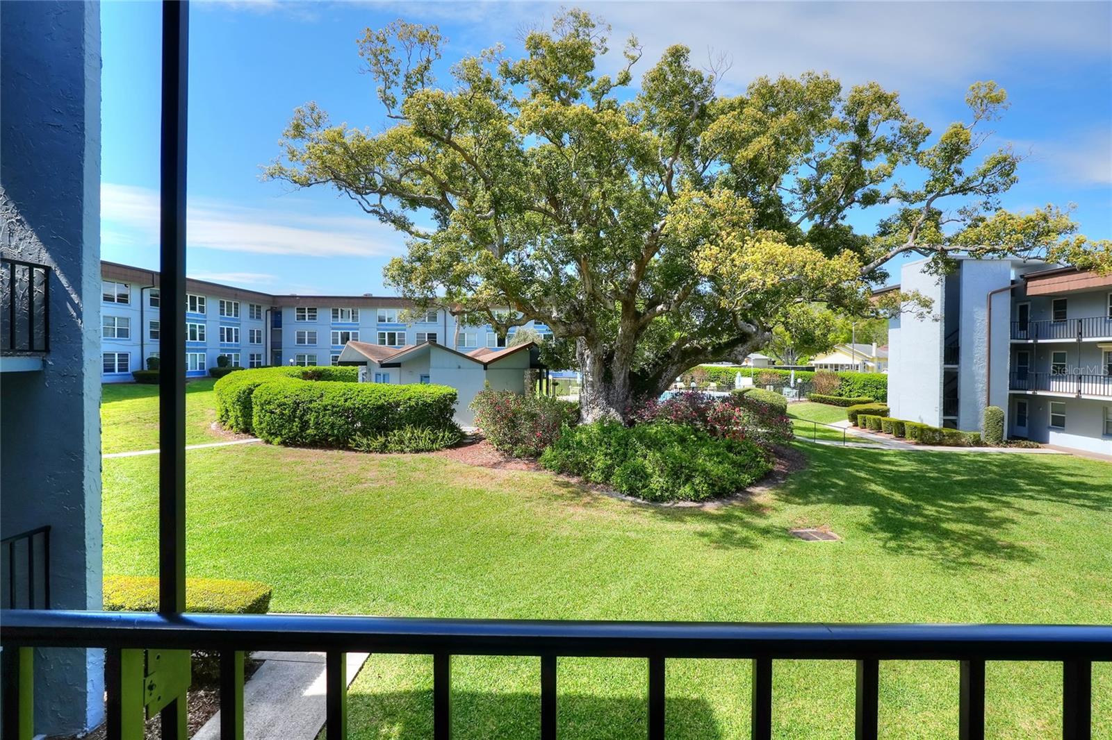 333 LAKE HOWARD DR NW #203C, WINTER HAVEN, FL, 33880