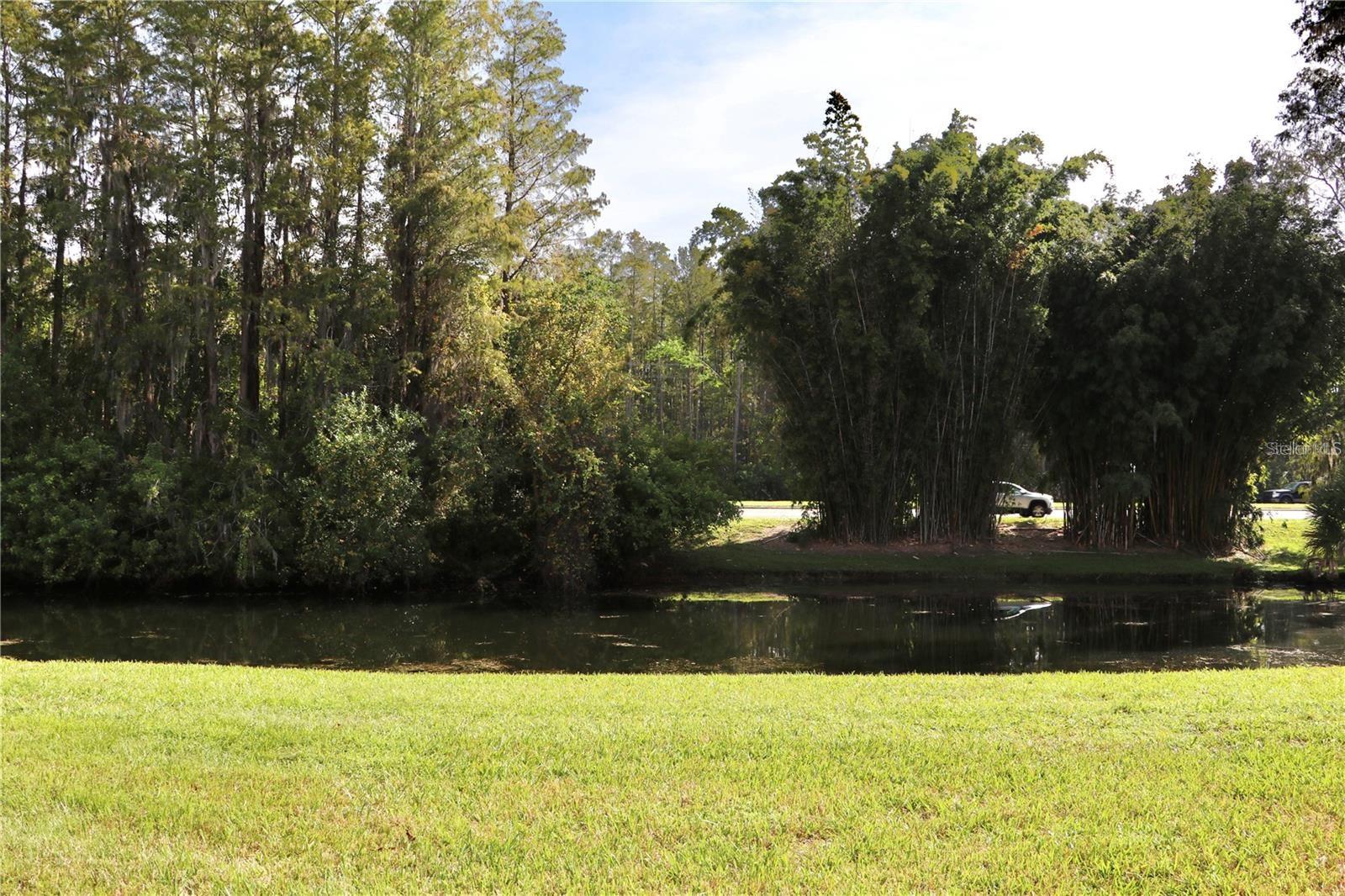 13548 TURTLE MARSH LOOP #413, ORLANDO, FL, 32837