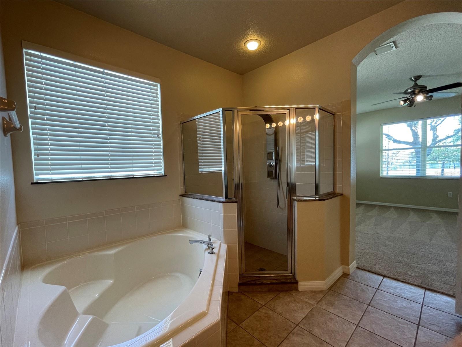 13826 AMELIA POND DR, WINDERMERE, FL, 34786
