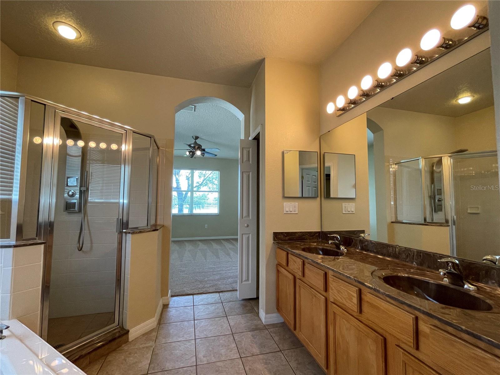 13826 AMELIA POND DR, WINDERMERE, FL, 34786