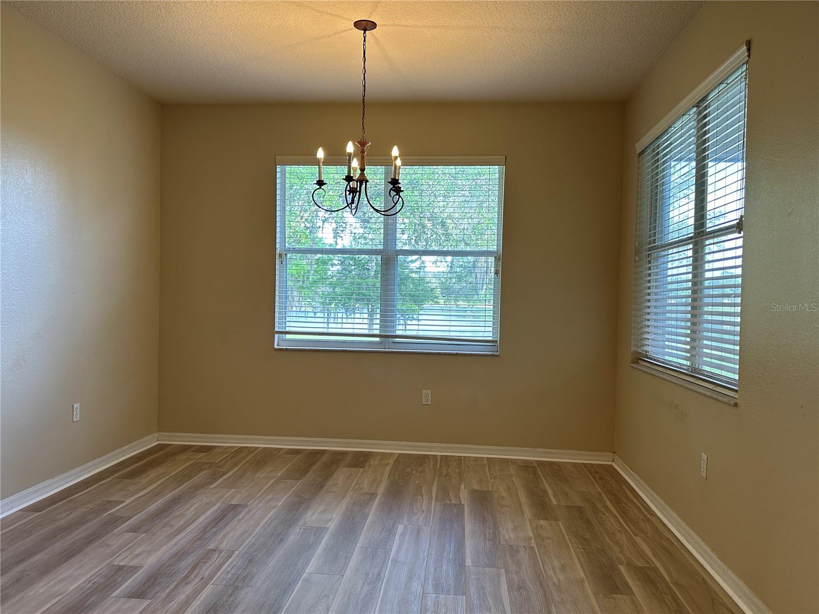 13826 AMELIA POND DR, WINDERMERE, FL, 34786