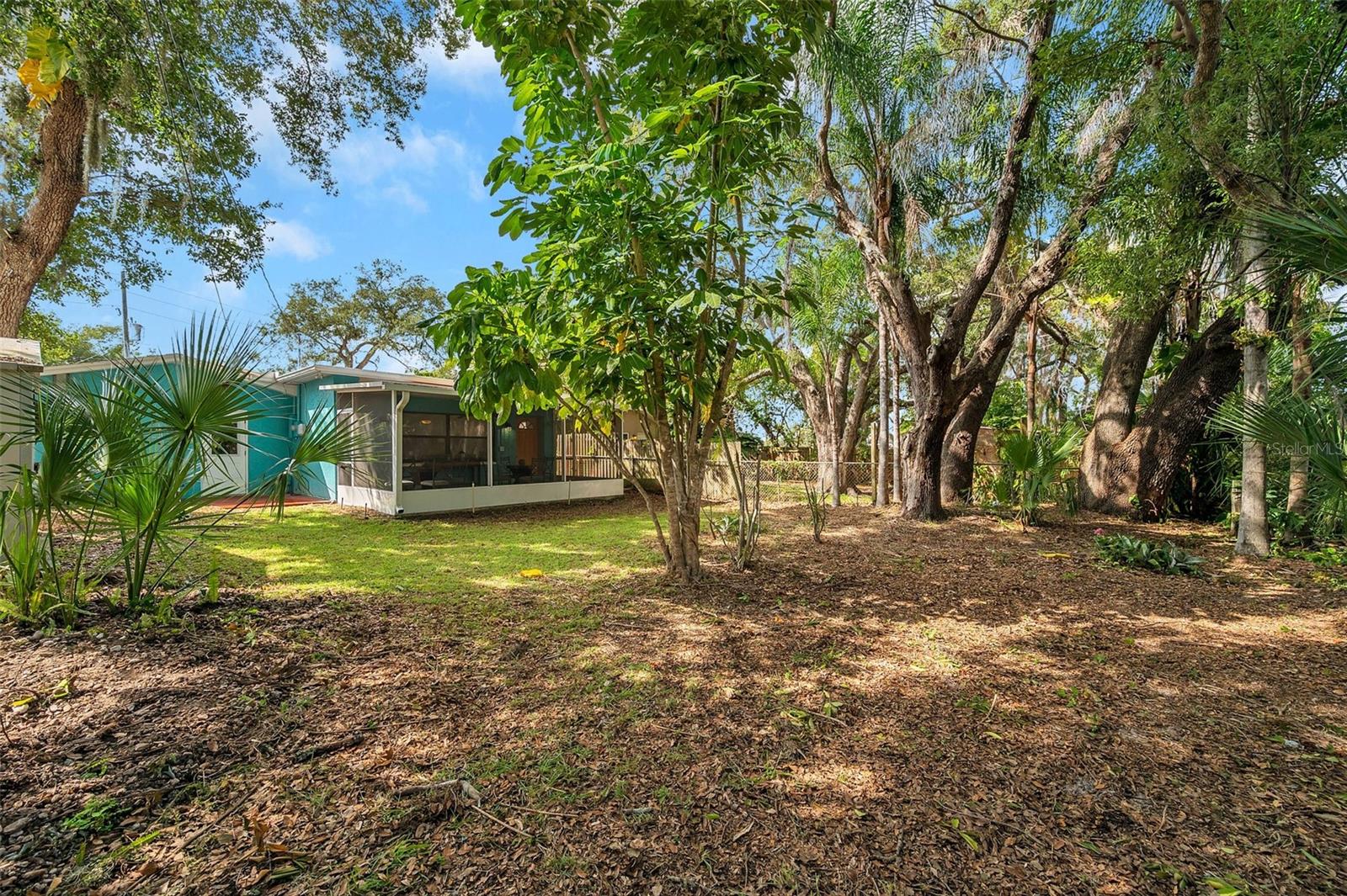 717 CAROLINA AVE, TARPON SPRINGS, FL, 34689