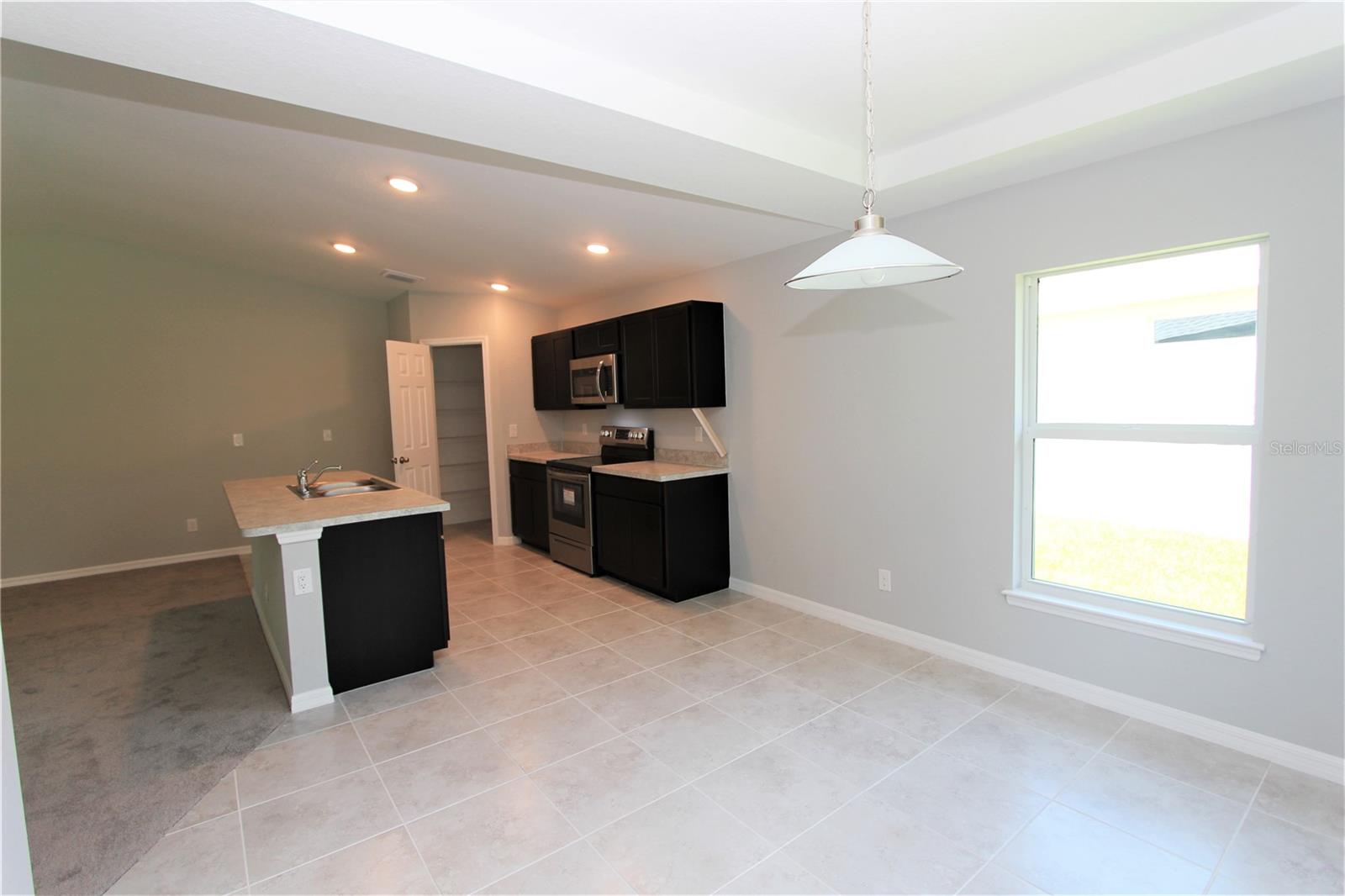 154 AUSTRALIAN DR, ROTONDA WEST, FL, 33947