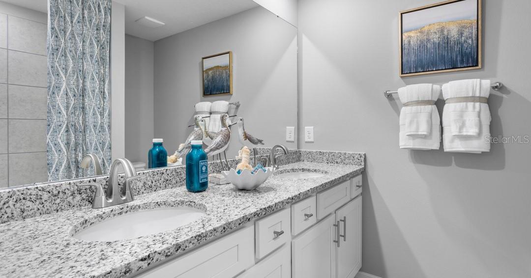 10136 MORNING MEADOWLARK TRL, PARRISH, FL, 34219
