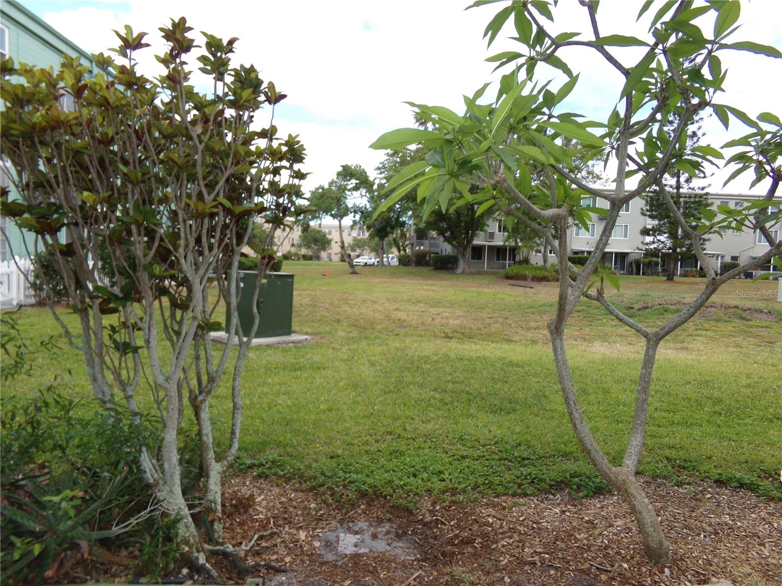 2042 AUSTRALIA WAY W #18, CLEARWATER, FL, 33763