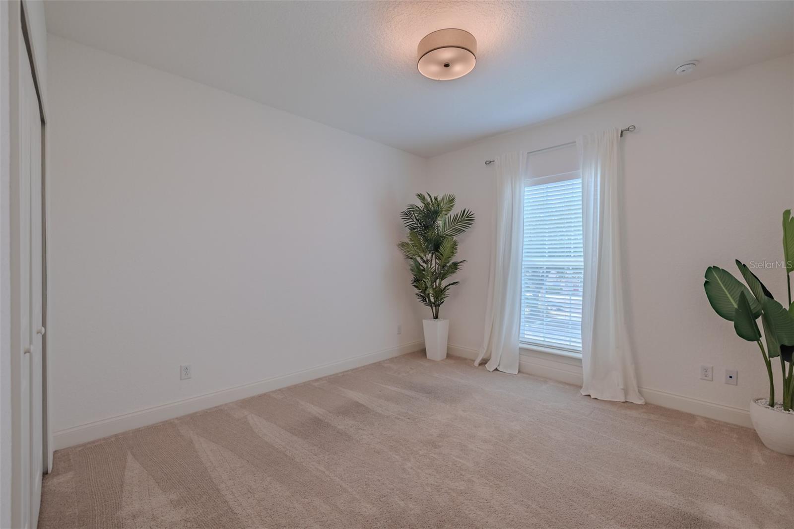 3224 W EMPEDRADO ST, TAMPA, FL, 33629