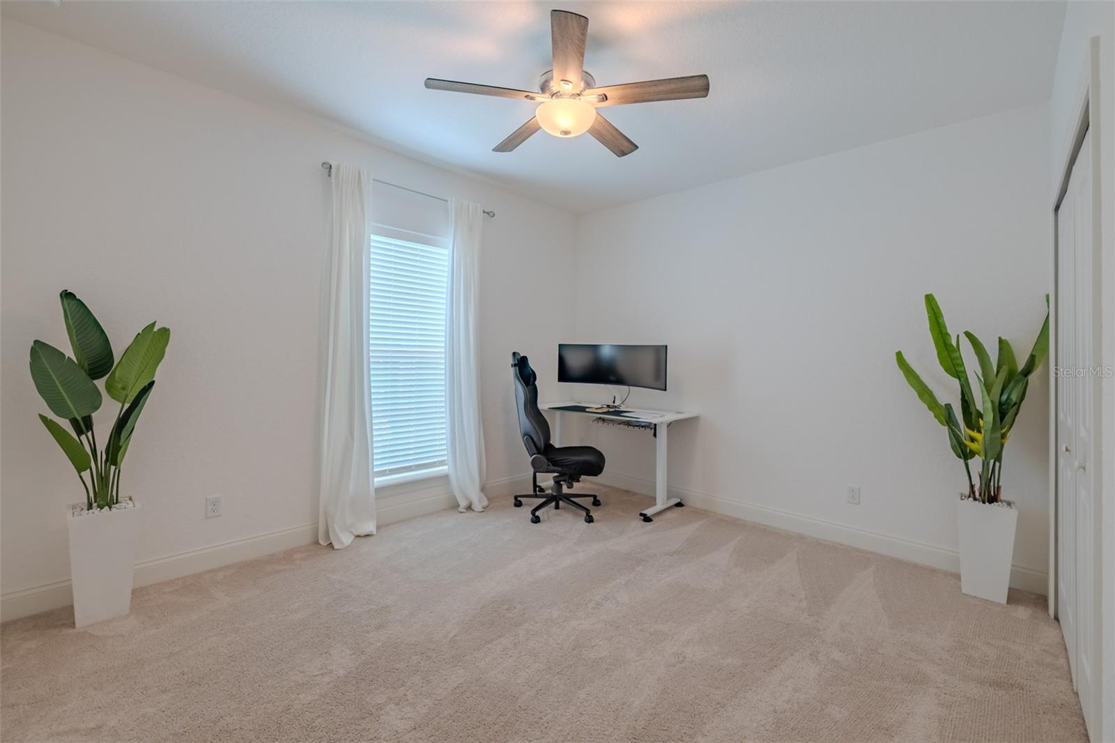 3224 W EMPEDRADO ST, TAMPA, FL, 33629