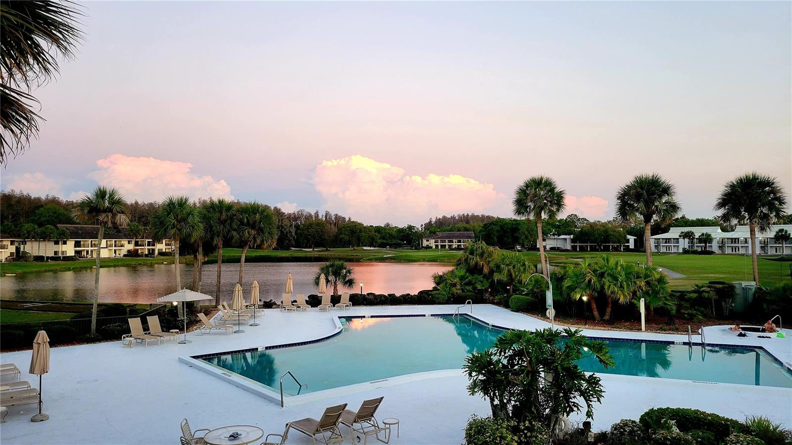 29130 BAY HOLLOW DR #3312, WESLEY CHAPEL, FL, 33543