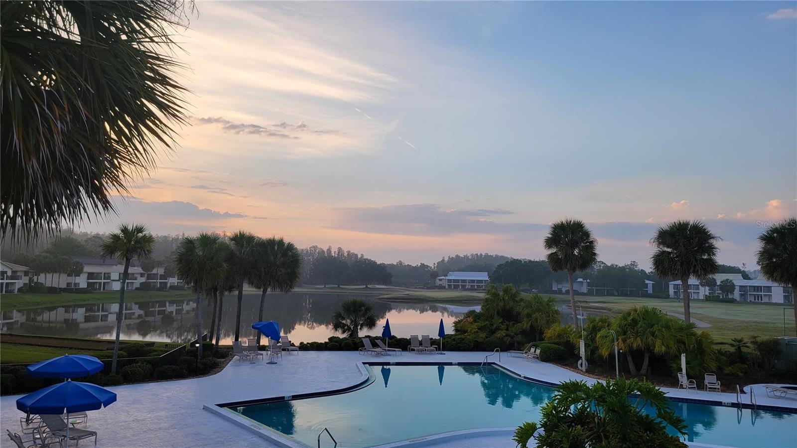 29130 BAY HOLLOW DR #3312, WESLEY CHAPEL, FL, 33543