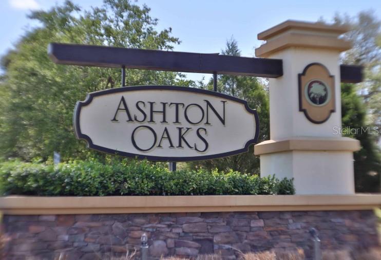 32914 HILLMAN CT, WESLEY CHAPEL, FL, 33543