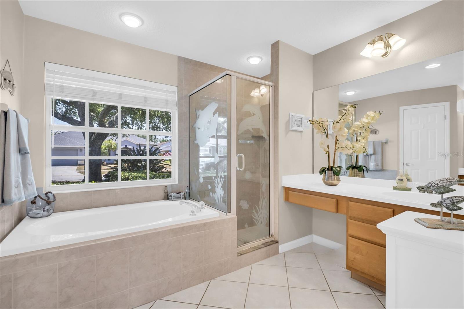 1149 SAWGRASS DR, TARPON SPRINGS, FL, 34689