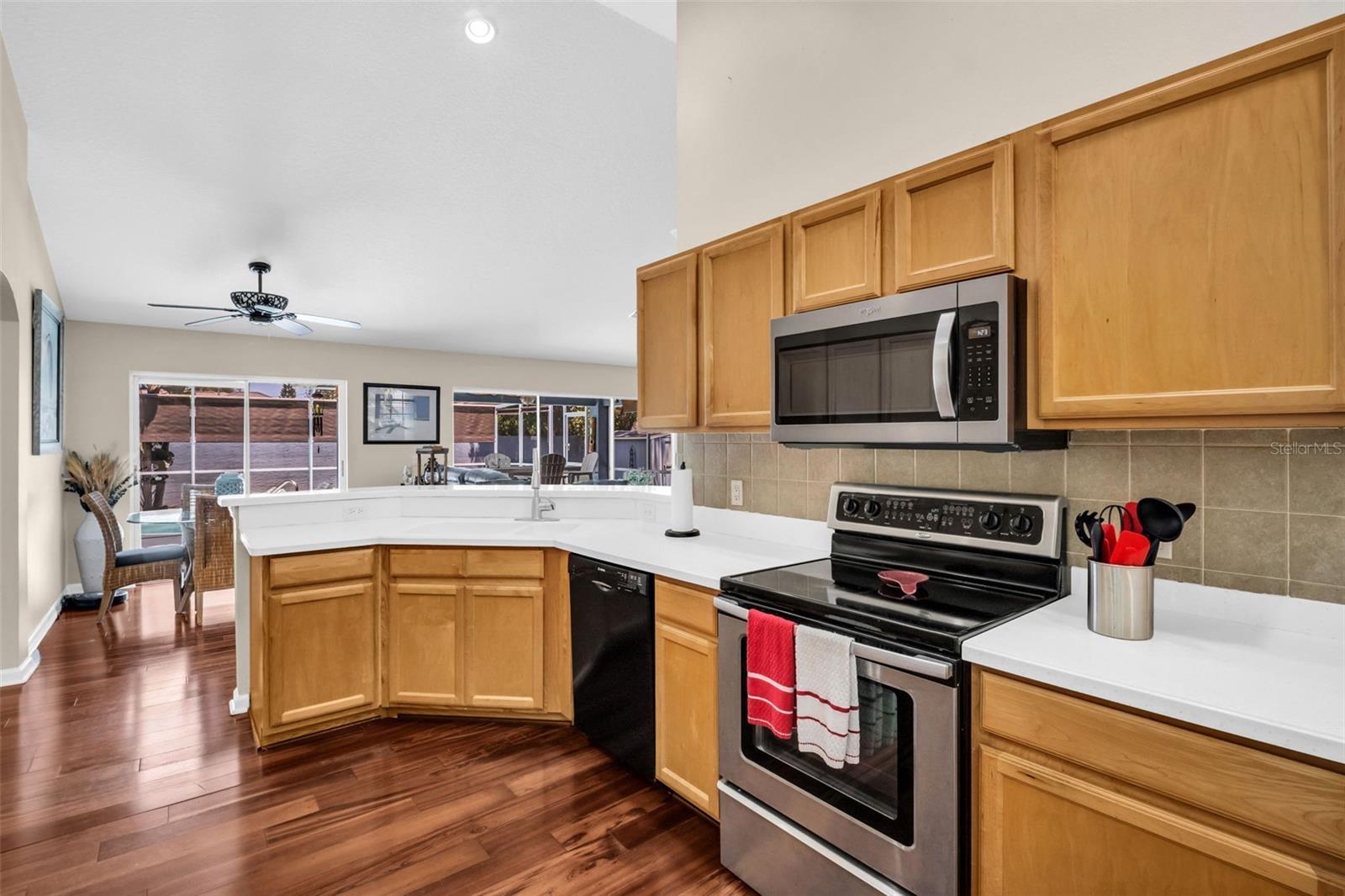 1149 SAWGRASS DR, TARPON SPRINGS, FL, 34689