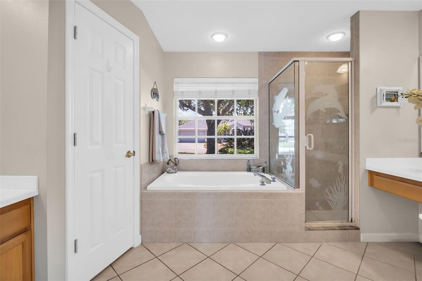 1149 SAWGRASS DR, TARPON SPRINGS, FL, 34689