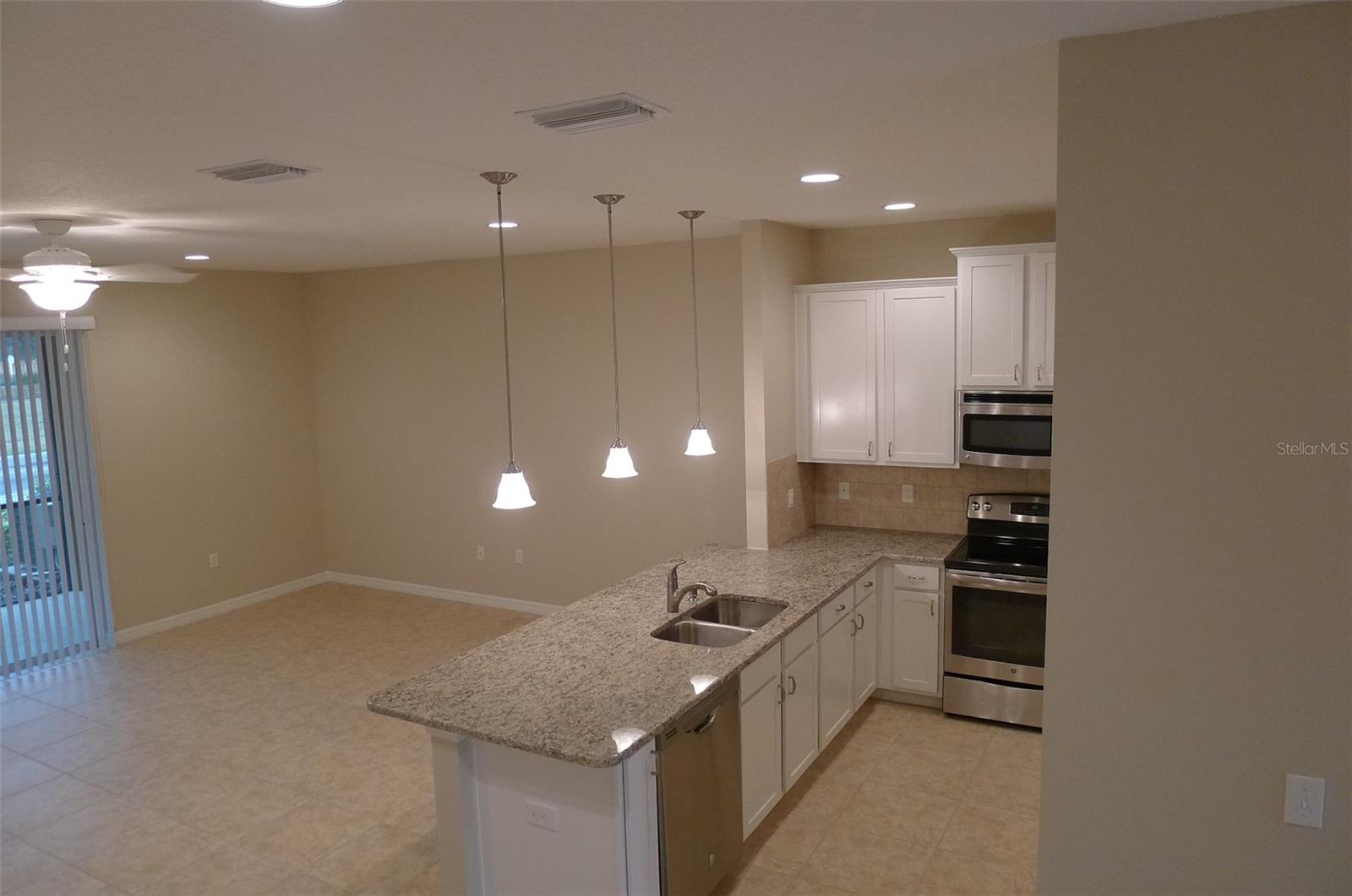 13909 RIVER WILLOW PL, TAMPA, FL, 33637