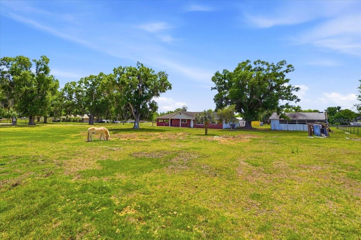 303 KARPPE RD, PLANT CITY, FL, 33567