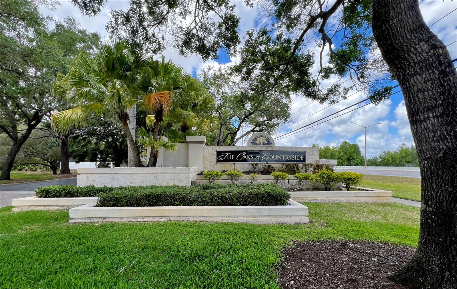 3014 RED OAK CT #102, PALM HARBOR, FL, 34684