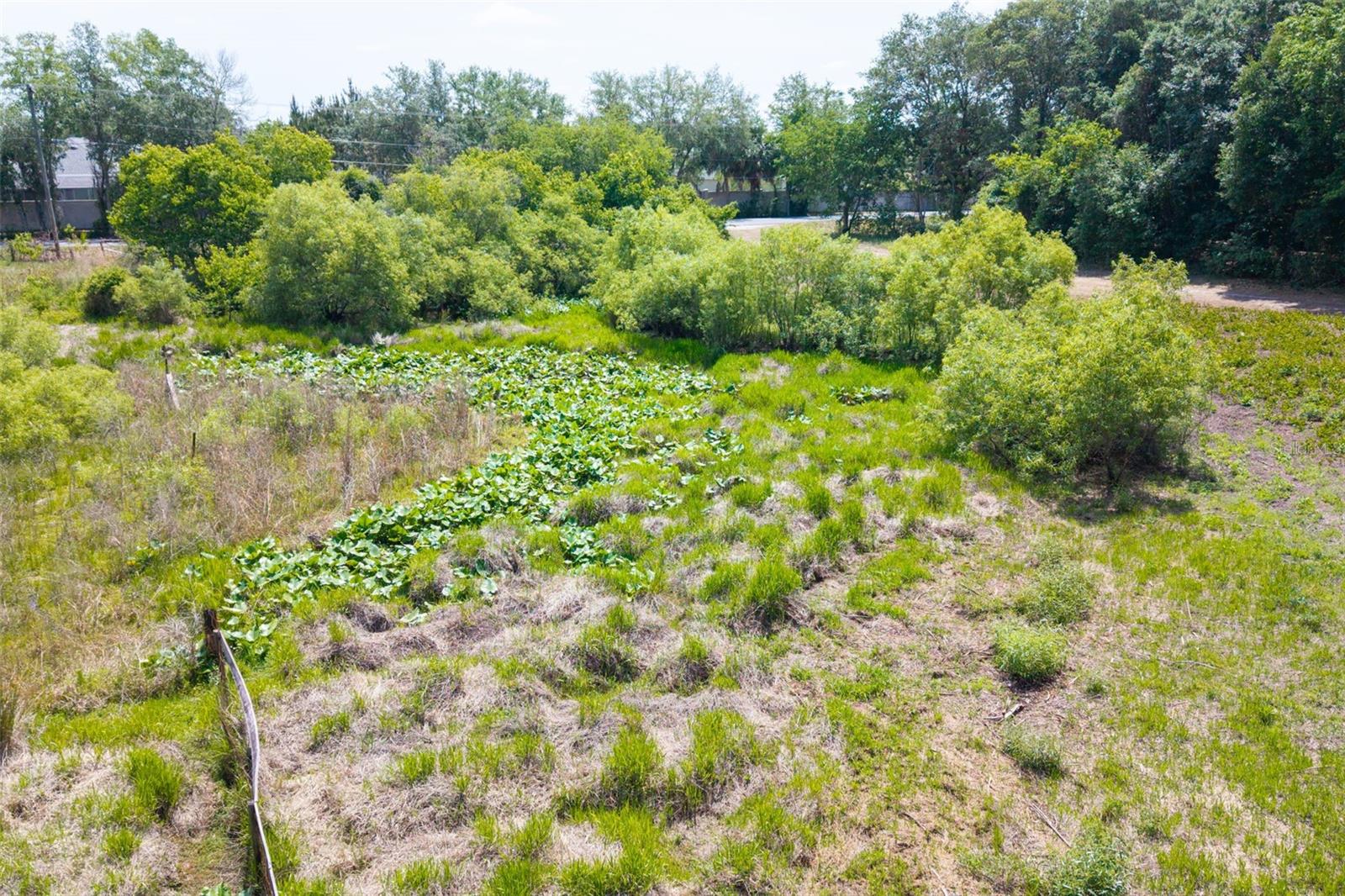 3482 COUNTY ROAD 507, WILDWOOD, FL, 34785