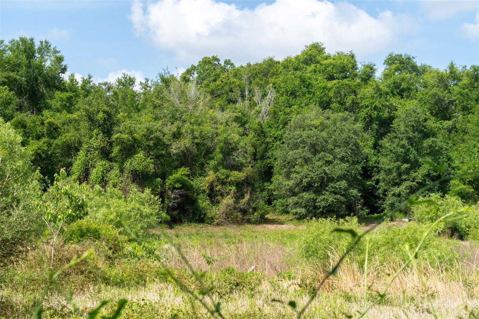 3482 COUNTY ROAD 507, WILDWOOD, FL, 34785