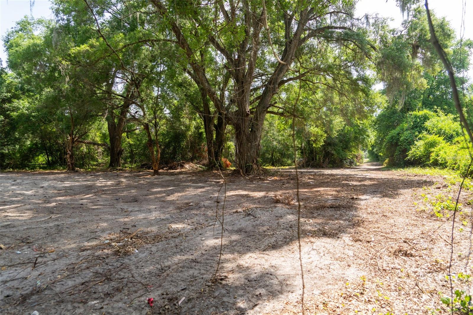 3482 COUNTY ROAD 507, WILDWOOD, FL, 34785