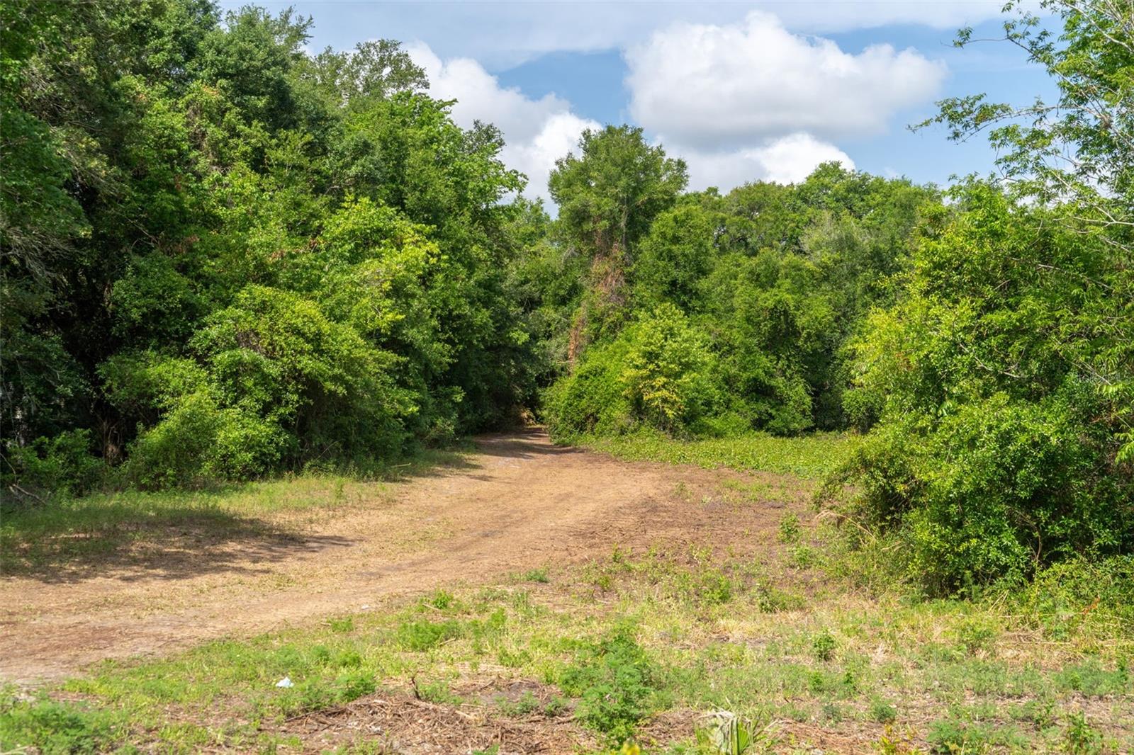 3482 COUNTY ROAD 507, WILDWOOD, FL, 34785