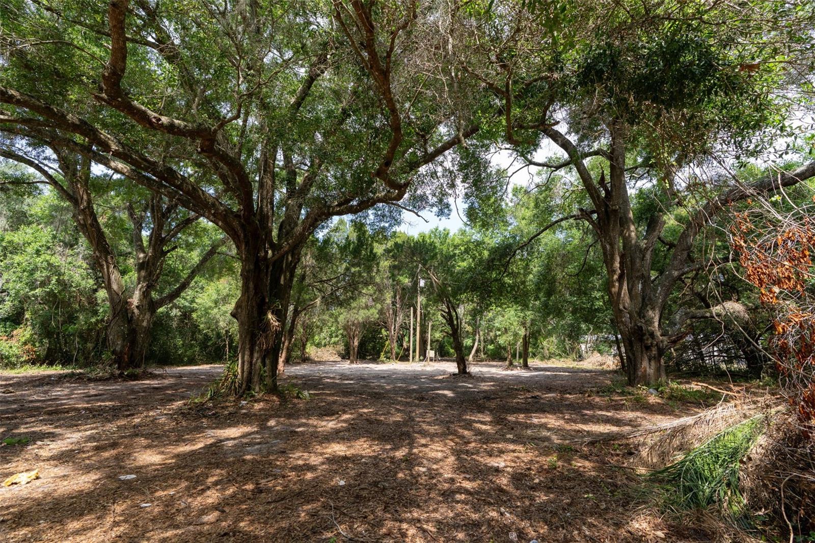 3482 COUNTY ROAD 507, WILDWOOD, FL, 34785