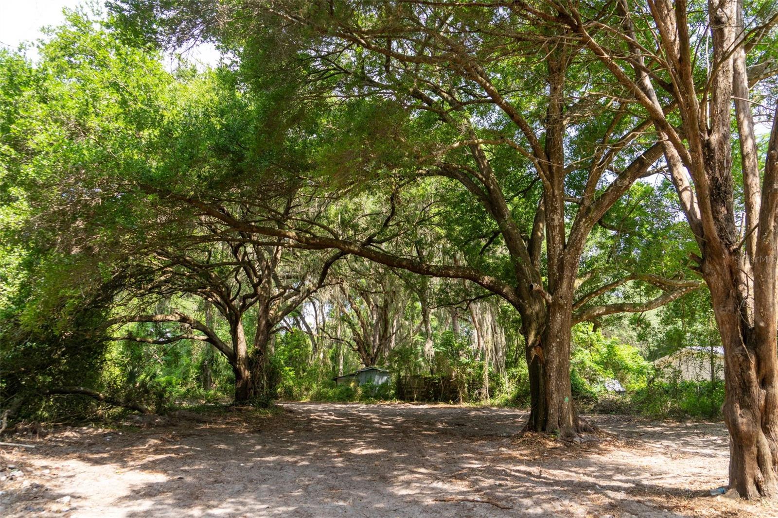 3482 COUNTY ROAD 507, WILDWOOD, FL, 34785